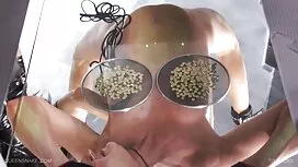 Keledai, apakah blow ...