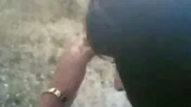 Pengilang makan pira ...