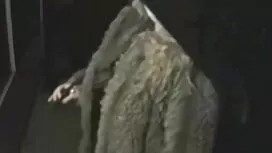 Lelaki kacak muda de ...